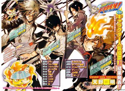 Katekyo Hitman Reborn X Reader