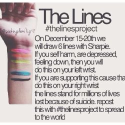 The Lines Project 13
