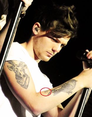 Chapter 45 No Worries Behind The Tattoos Louis Tomlinson Love Story