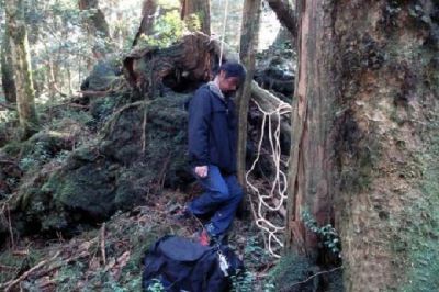 Ghosts Of Aokigahara