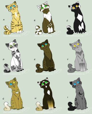 Who is your mate in warrior cats! - Quiz