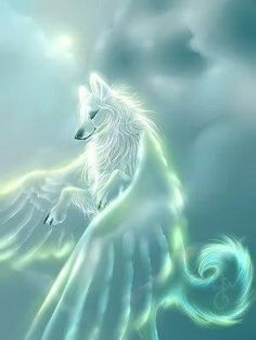 Flutter Adopted Magic Wolf Adoption Center My favortie wolf is keandra i made her up myself when i. flutter adopted magic wolf adoption