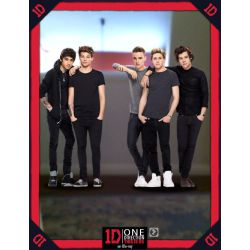 Tende One Direction Boyfriend Per Camera Da Letto: 168x137 Cm, In Microfibra Di Poliestere Con Testa Pieghettata, Decorazione Stanza Fan - 2