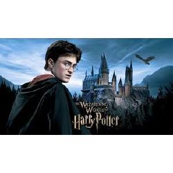 Create your own Harry Potter Character - Quiz