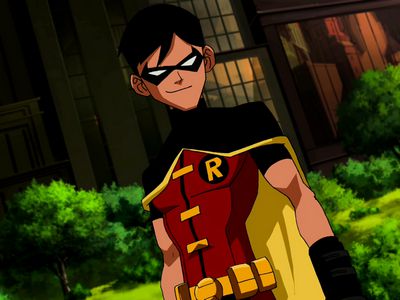 Robin Young Justice X Reader Superheroes X Reader