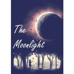 The Moonlight A Re Write Of The Highwayman