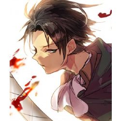 What does Levi Ackerman think of you? - Quiz
