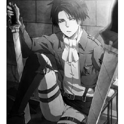 Levi Rivaille x Angel! Reader