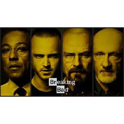 QUIZ BER BREAKING BAD visual data 6