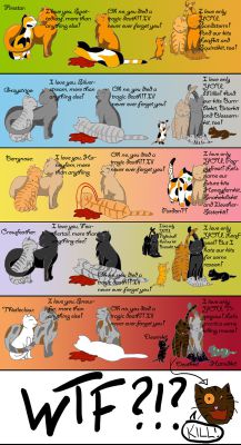Chapter 7 Funny Warrior Cat Pictures And Comics