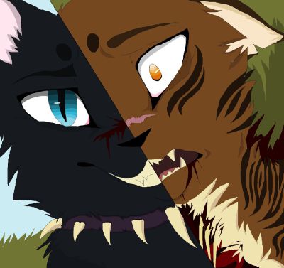 What Warrior Cat Are You Omen Of The Stars Quiz