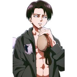 What does Levi Ackerman think of You? - Quiz