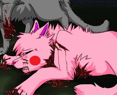 Cat Fight New Pictures