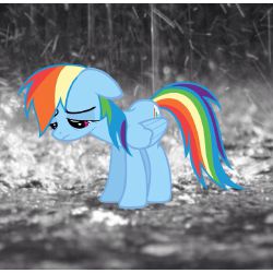 My Little Dashie Stories