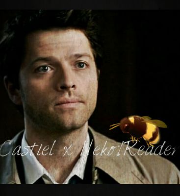 Castiel X Neko Reader The Little Blue Ribbon Supernatural
