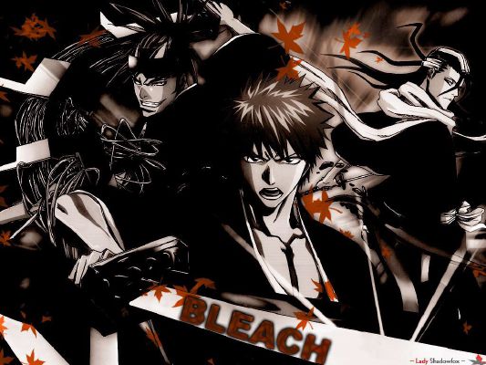 Which Bleach Character Are You? - Quiz Which Bleach Character Are You? - Quiz