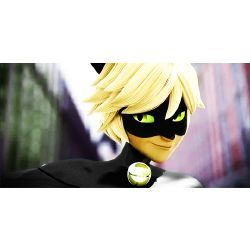 When You Forgive Him Chat Noir X Reader Boyfriend Scenarios