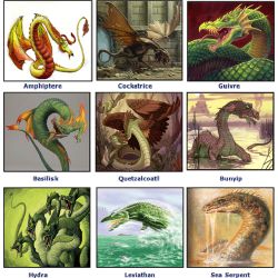 What type of dragon fits you - Quiz