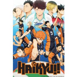 haikyuu q posket