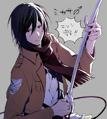 CH8: Harsh | Kindled Red Flames (Male!Mikasa x Reader)