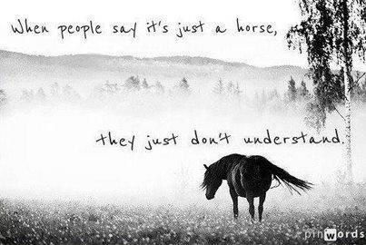 Just a horse | Poems