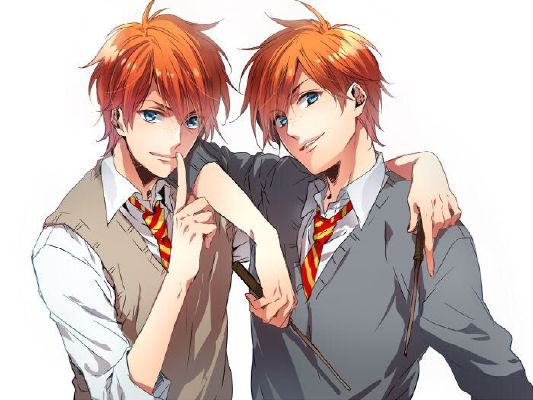 Fred Weasley x Reader ~ Twins | Harry Potter x Reader one-shots