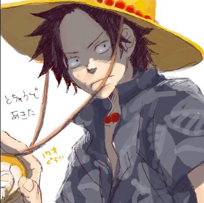 Go Chase Her Warm Touch Ace Love Story One Piece