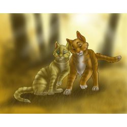 Thrushpelt ~ Tragic love | Warrior cats X reader