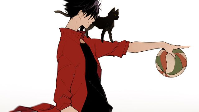 Kuroo Tetsuro Jealousy Haikyuu One Shots Various X Reader