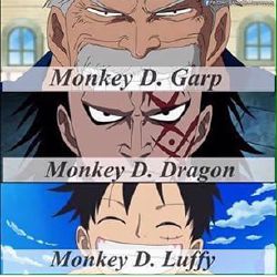 Monkey D Dragon Stories