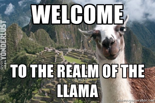 What Kind of Llama are you? - Quiz