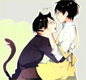 Pay Attention To Me Dammit Neko Levi X Male Reader