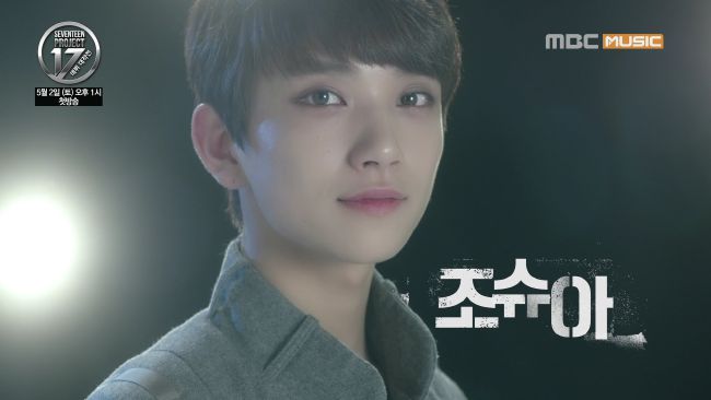 Which Seventeen Member Is Your Perfect Match Quiz