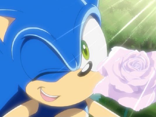 sonic smile company