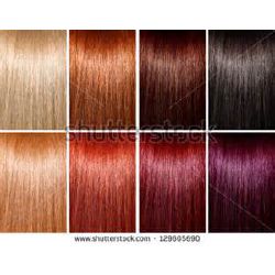 True Hair Color Quizzes