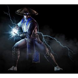 Raiden X Abused!Reader | Raiden Oneshots