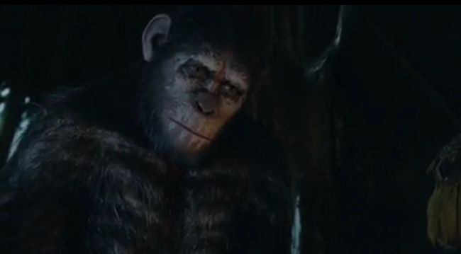 Dawning | Brother Ape (Planet of the Apes)