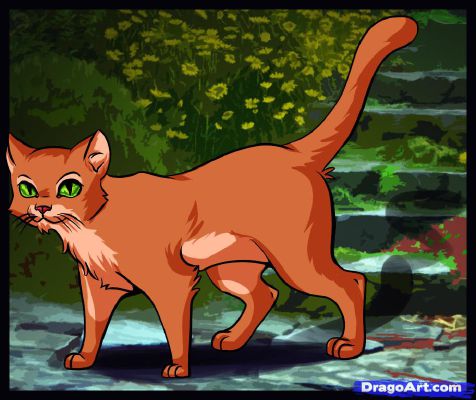 Forced Love Warrior Cats Story