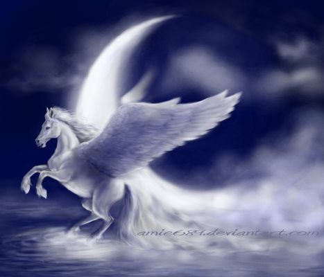 Moon Angel The Pegasus Adopted The Magical Creature Adoption Center