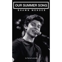 Our Summer Song Shawn Mendes Love Story