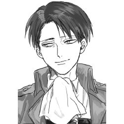 Levi x Chubby Reader