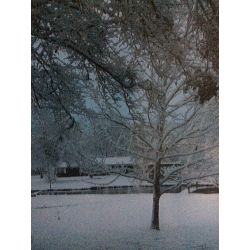 Winter Break Short Story