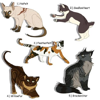 Medicine Cats Warrior Cat Adoptables