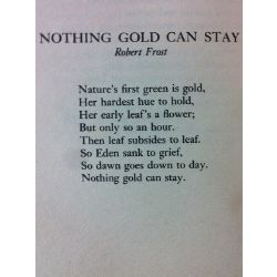 The Meaning Of Nothing Gold Can Stay