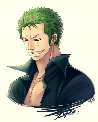 My Gift For You! (Zoro x Reader) | One Piece [One-Shots] (Reader x ...