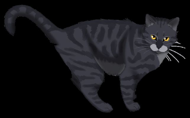 Warrior Cats Super Fan Quiz - Test