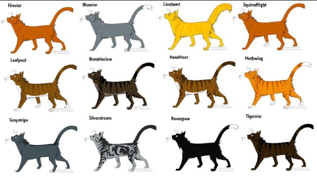 Warrior cat name and life - Quiz