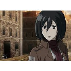 Mikasa X Male!Reader