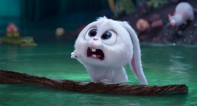 A Pool Of Blood And Sorrow The Secret Life Of Pets Tragedy