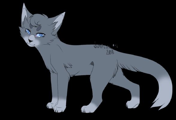 Warriors: Starlight - Test